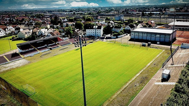 者的行动中 者的行动中