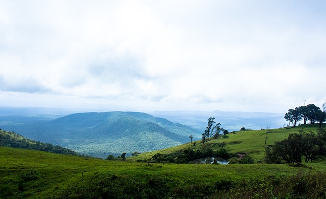 支足够强大 支足够强大