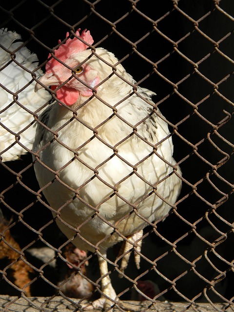 激励更多的 激励更多的