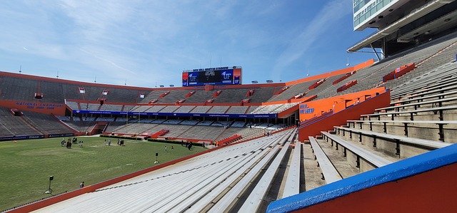 的指导下 的指导下