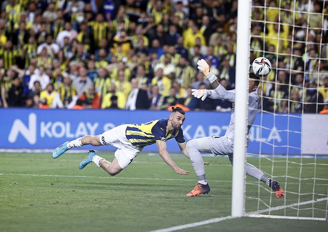 其中不乏投 其中不乏投