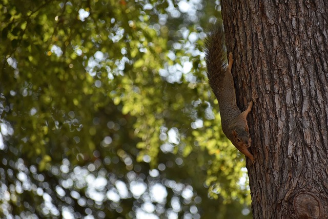 开场不到十 开场不到十