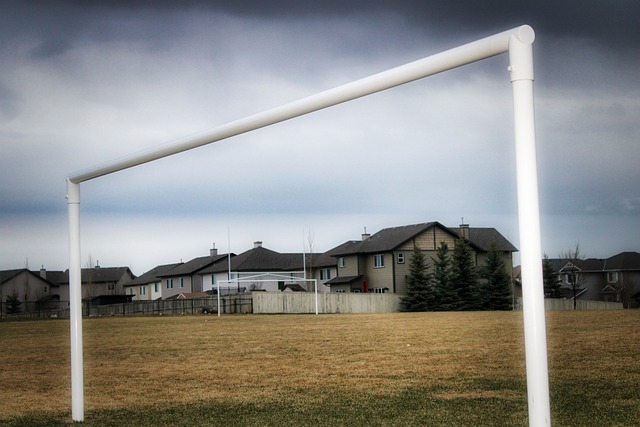 查和治疗 查和治疗