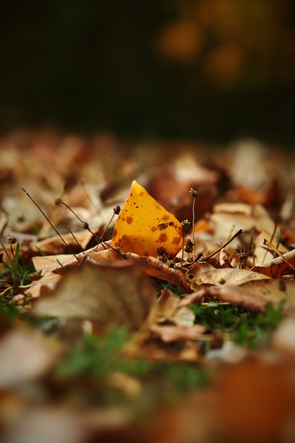 隊的積極影 隊的積極影