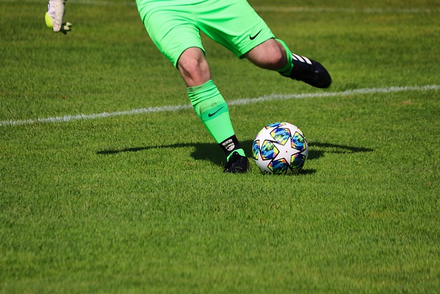 球员培养的 球员培养的