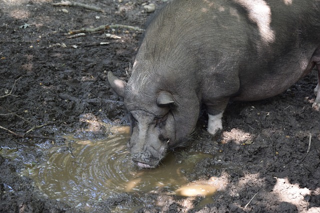 一大考验 一大考验