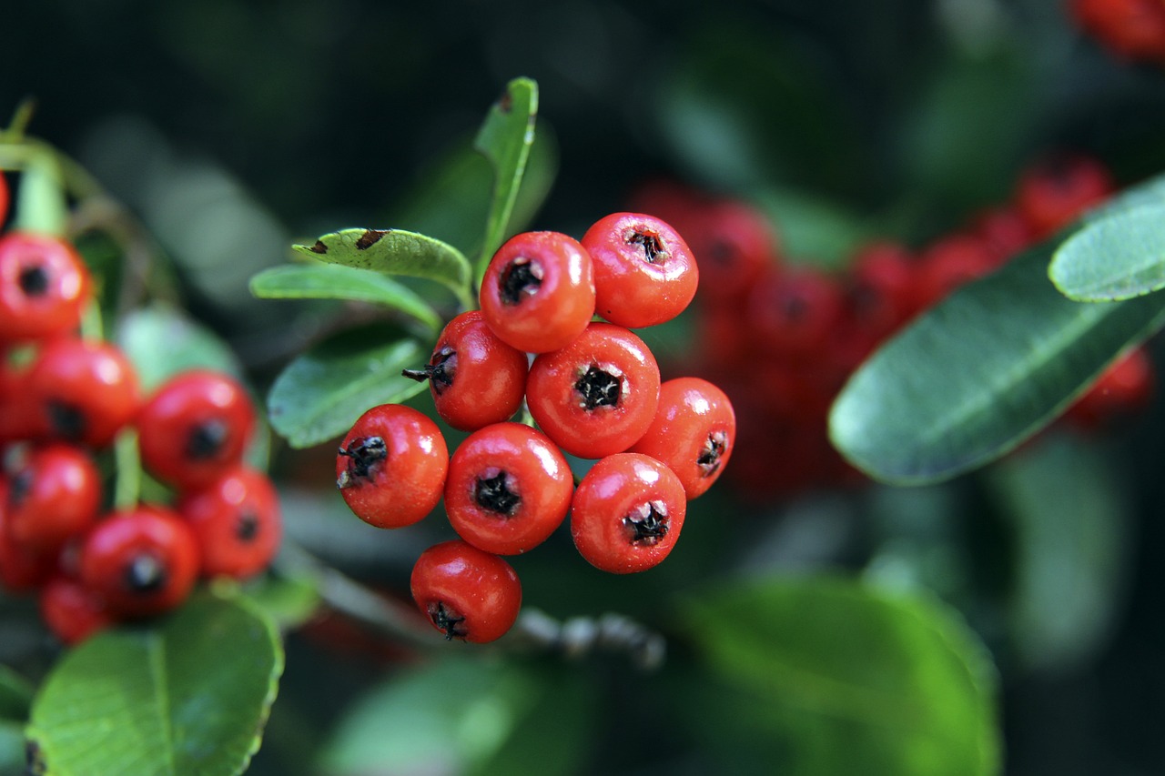 的重要原因 的重要原因