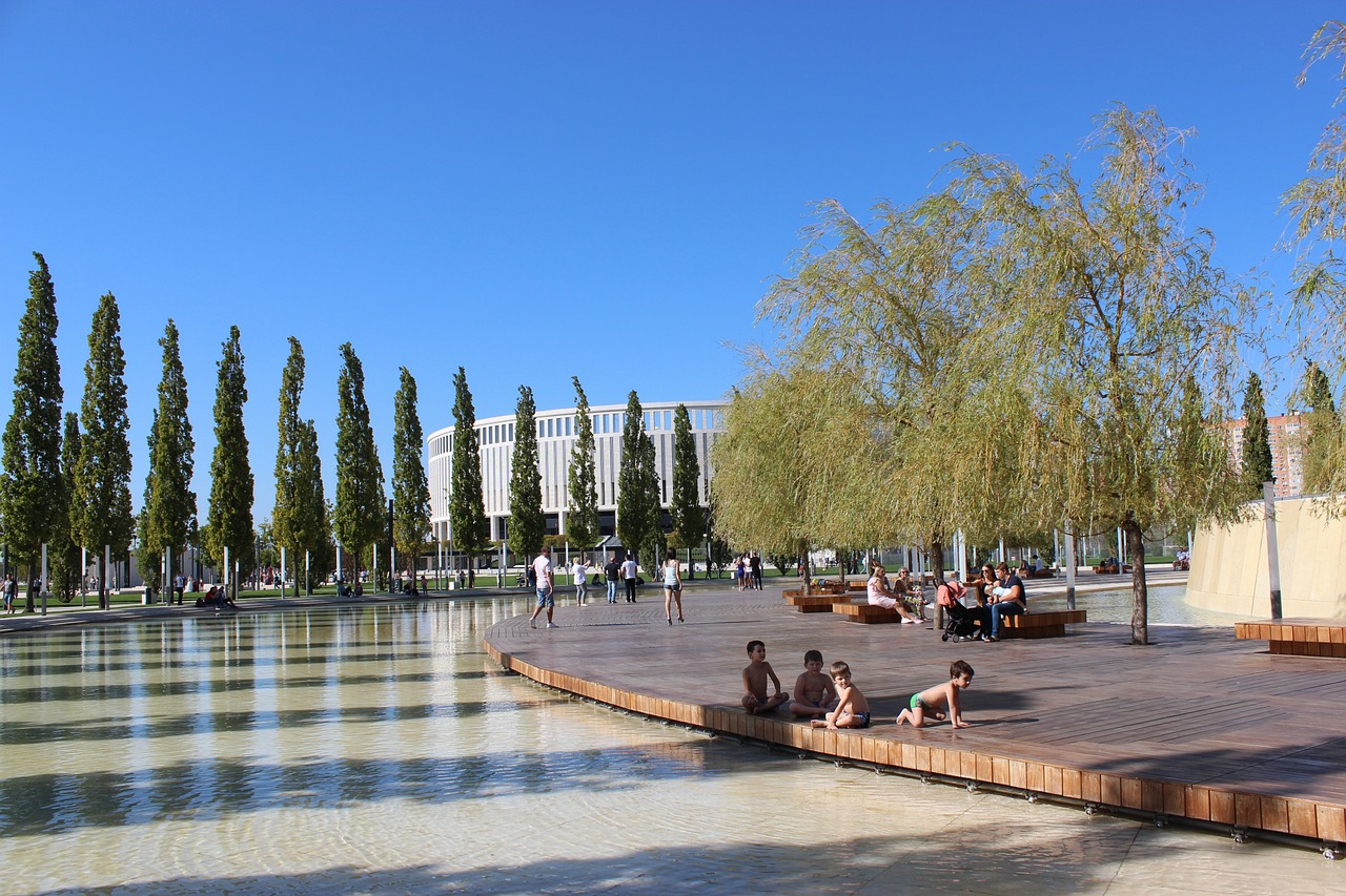 仅展示了中 仅展示了中