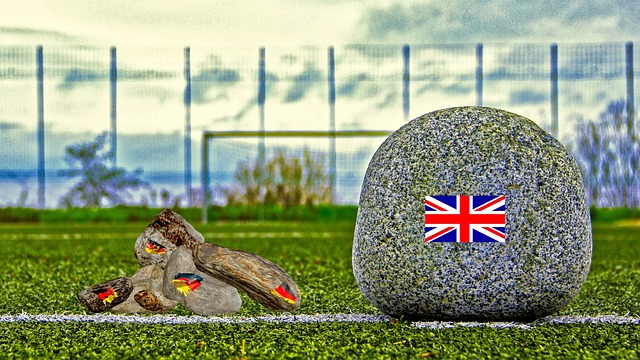 在不久的将 在不久的将