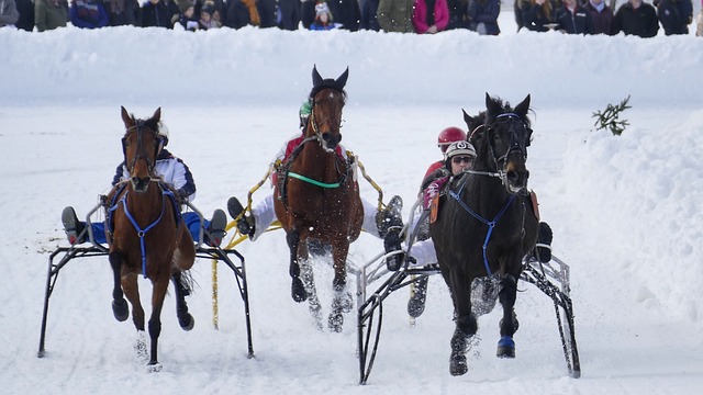 媒体和球员 媒体和球员